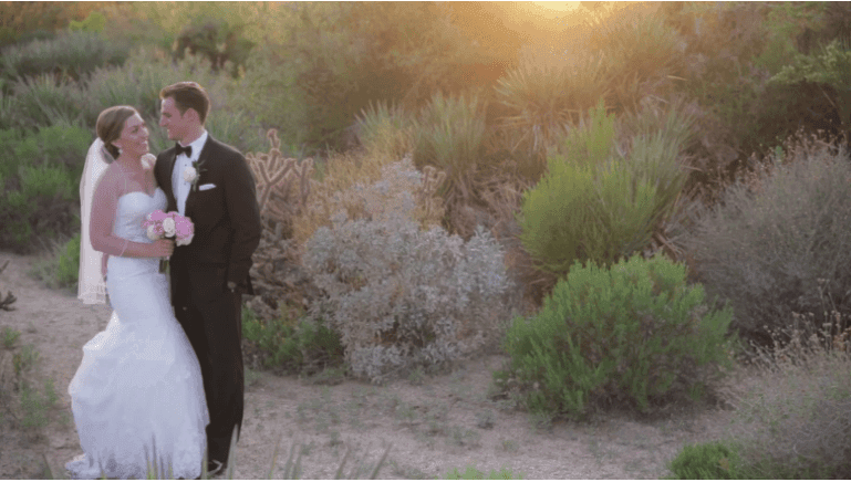 Pricing & Availability